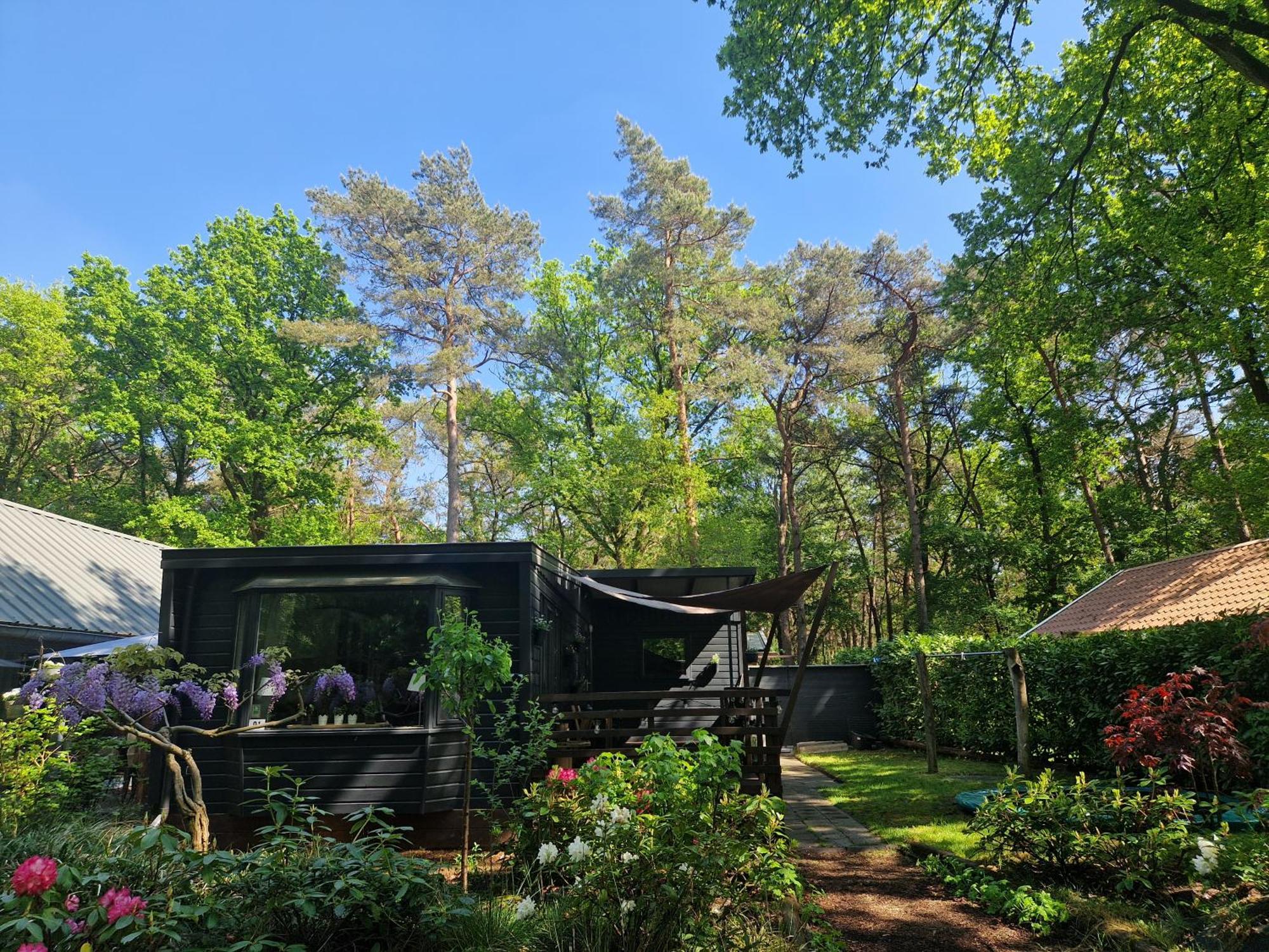 Heerlijk Huisje In Het Bos Op Chaletpark Kempenbos Diessen Exterior photo